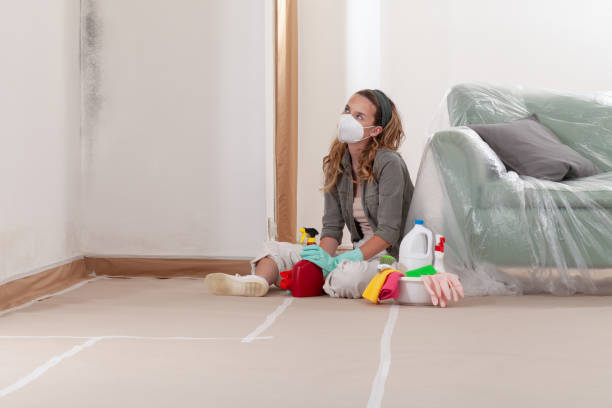 Reliable Mold Remediation contractor in Woodland, WA by Cheap Mold Removal